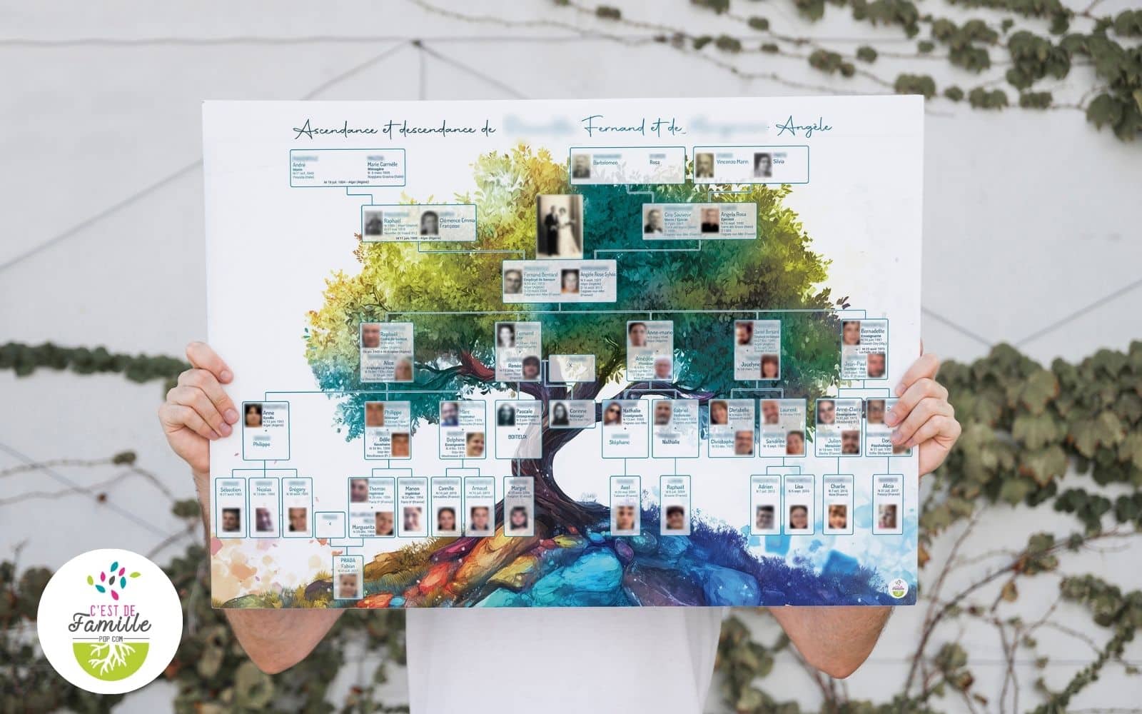 créations généagraphiques