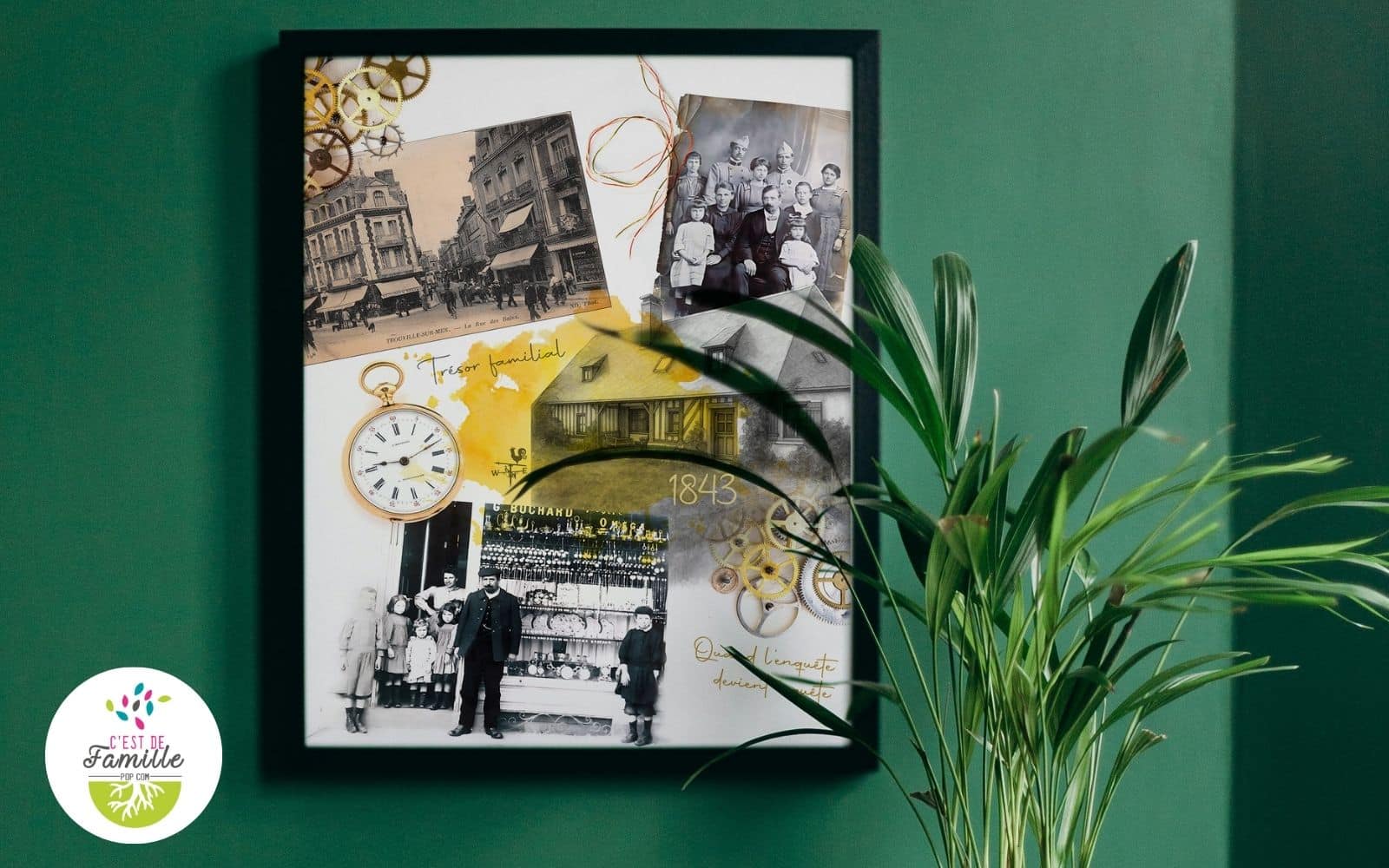 créations généagraphiques