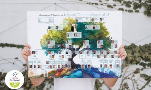 créations généagraphiques