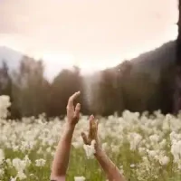 Accueil - communication authentique